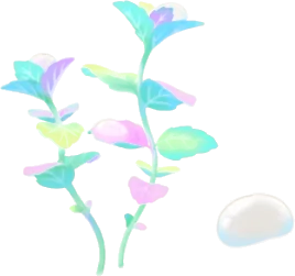 虹色の葉をもつ植物の木の画像