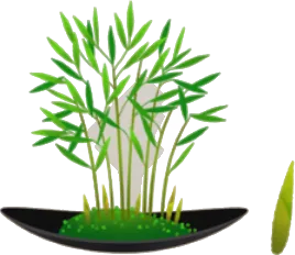 竹の盆栽の木の画像