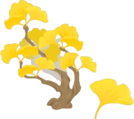 黄金色に染まるイチョウの木の画像