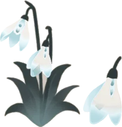 色褪せたスノードロップの木の画像