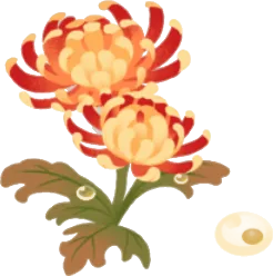 咲き誇る古典菊の木の画像