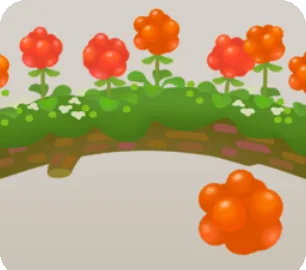 クラウドベリーのなる倒木の画像
