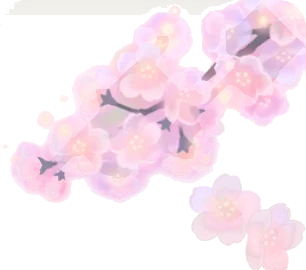 透き通った桜の木の画像