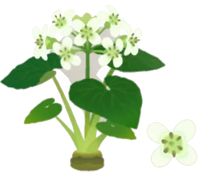 花咲く山ワサビの木の画像