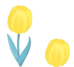 咲き誇るチューリップの木の画像