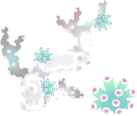 白化サンゴの木の画像