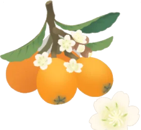 甘く香るビワの木の画像