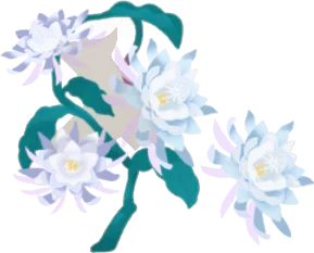 月下美人の木の画像