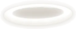 天使のわっか・小の画像