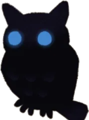 頭乗りフクロウの画像