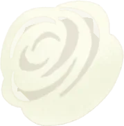 白薔薇コサージュの画像