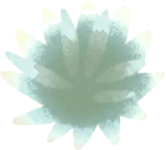 砂丘の小さな草・緑の画像