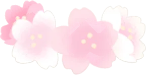 小さな桜の花冠の画像