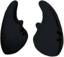 作り物のクワガタツ・黒の画像