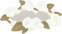 白い花冠の画像