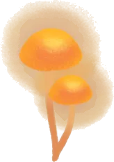 いつからか生えたヒカリノキノコの画像