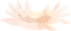 ふわふわ気中菌糸の画像