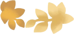 聖なる森の葉冠の画像