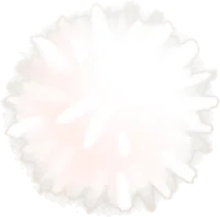 スノーキャンプのポンポンの画像