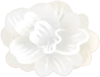 神秘に包まれた透明な草の画像