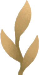 ちいさな水底の草の画像