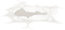 光の波紋の画像