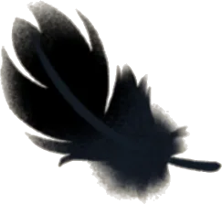 小さな羽毛・黒の画像