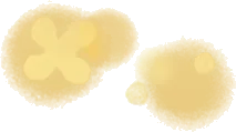 やすらぐ金木犀の香りの画像
