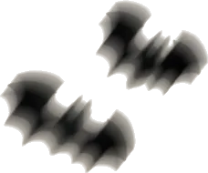 コウモリの戯れの画像