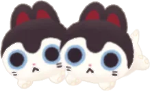 成亥とこの頭のせバンとケンの画像