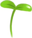 ひょろっと木の芽の画像