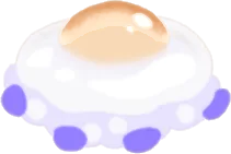 コティロリーザ・ツベルクラータ帽の画像