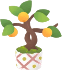 キンズの豆盆栽の画像