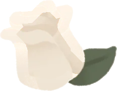 小さなホワイトローズの画像