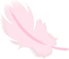 小さな羽毛・ピンクの画像