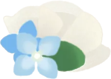 紫陽花のミニベールの画像