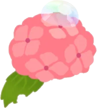 雨上がりの紫陽花の画像