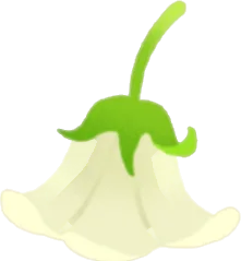 小さな白い花帽子の画像