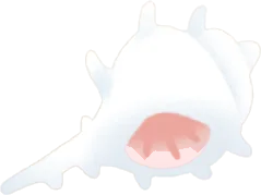 トゲトゲホネガイの画像