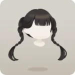 艶やかな三つ編みの髪