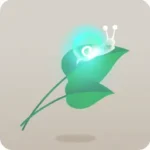 原生林の葉っぱ