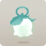 白い花のカンテラ