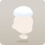 頭にどっさり積もった雪