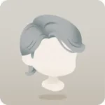 アレンジグレーヘア