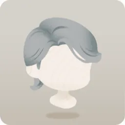 アレンジグレーヘア
