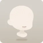 王妃の慎ましやかなお口