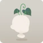 遺跡で見つけた植物