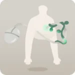 融合した古いマウス