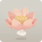 咲き誇っている蓮の花