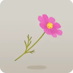 手持ちコスモス・ピンク